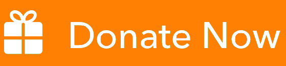 Donate-Now 2 Donate-Now 2